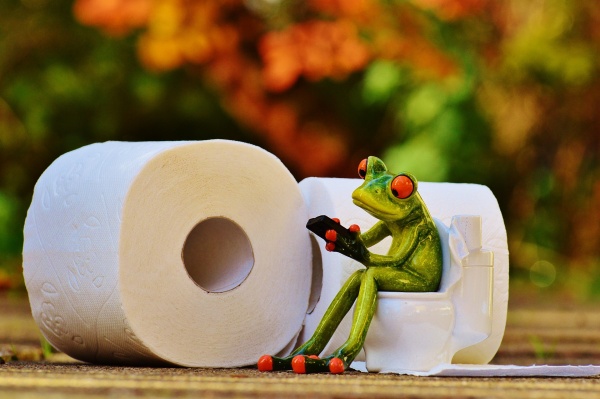 frog toilet paper