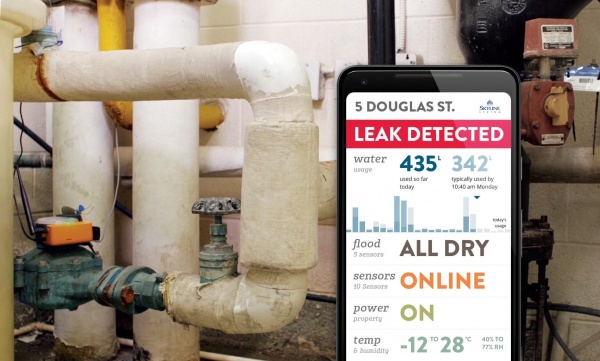 leak detection pic